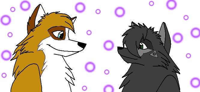 For Surfin wolf's competition