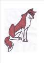 Random wolf