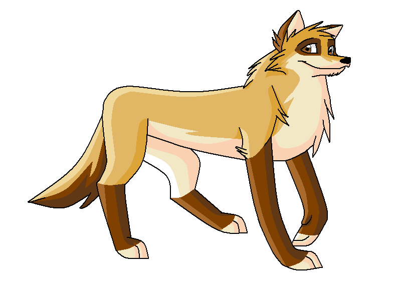 Practice with shading