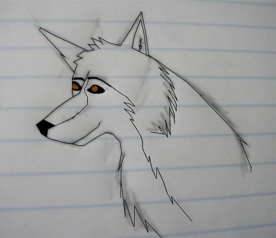 Balto
