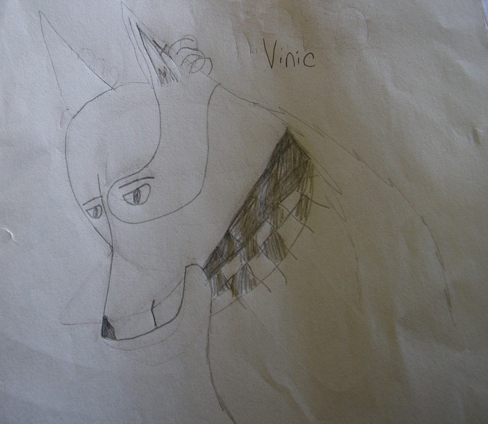 Vinic