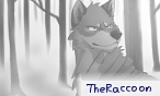TheRaccoon
