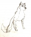 Aleu
