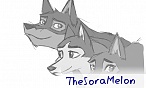 TheSoraMelon