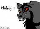 New character