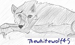 thewhitewolf123