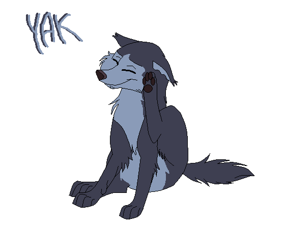 Yak