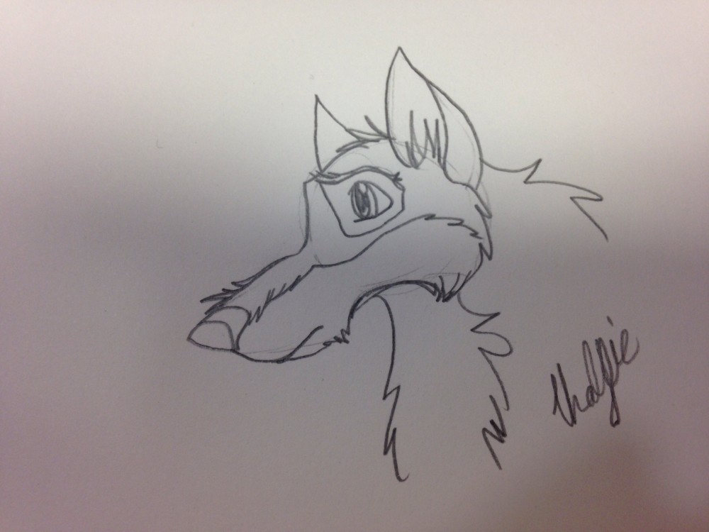 Balto Head Practice