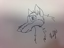Balto Head Practice