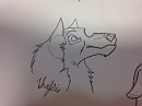 Steele Head Practice