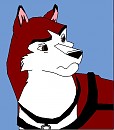 Kodi