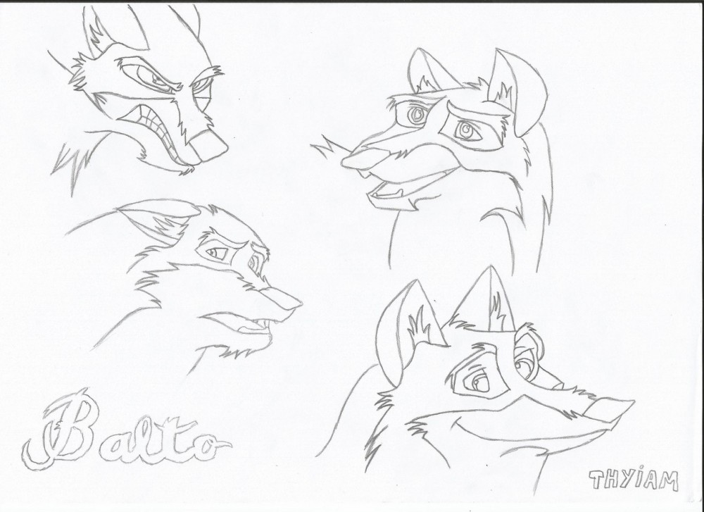 série de croquis : Balto