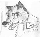 Balto Sketch