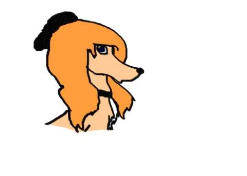 Dixxie
