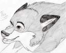 Young Balto (Strange style!)