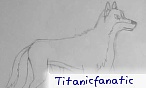 Titanicfanatic