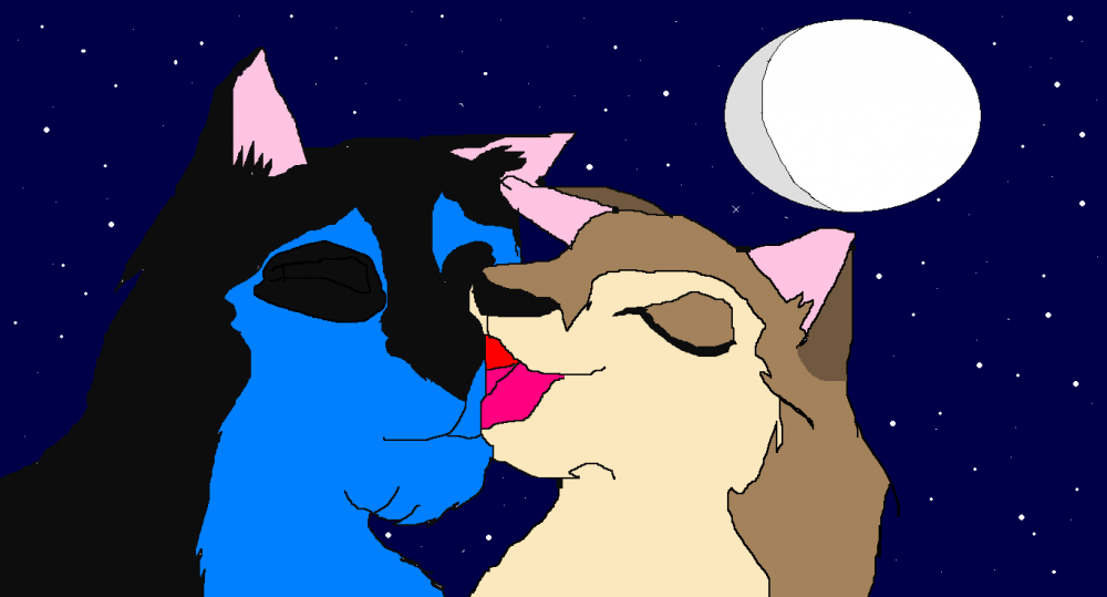 at the stars