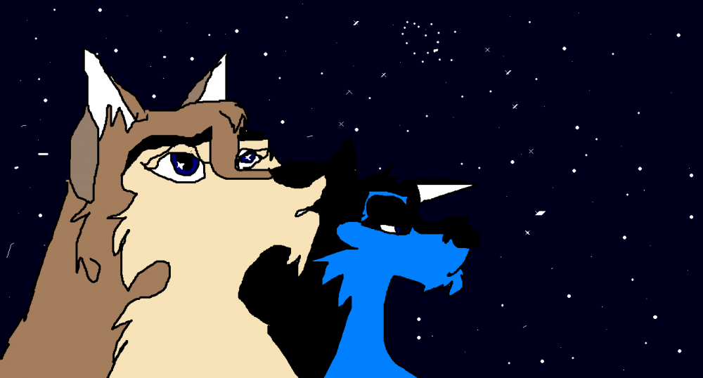 niju aleu and the stars