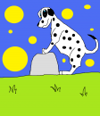 Dalmation