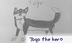 Togo the hero