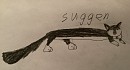 Suggen