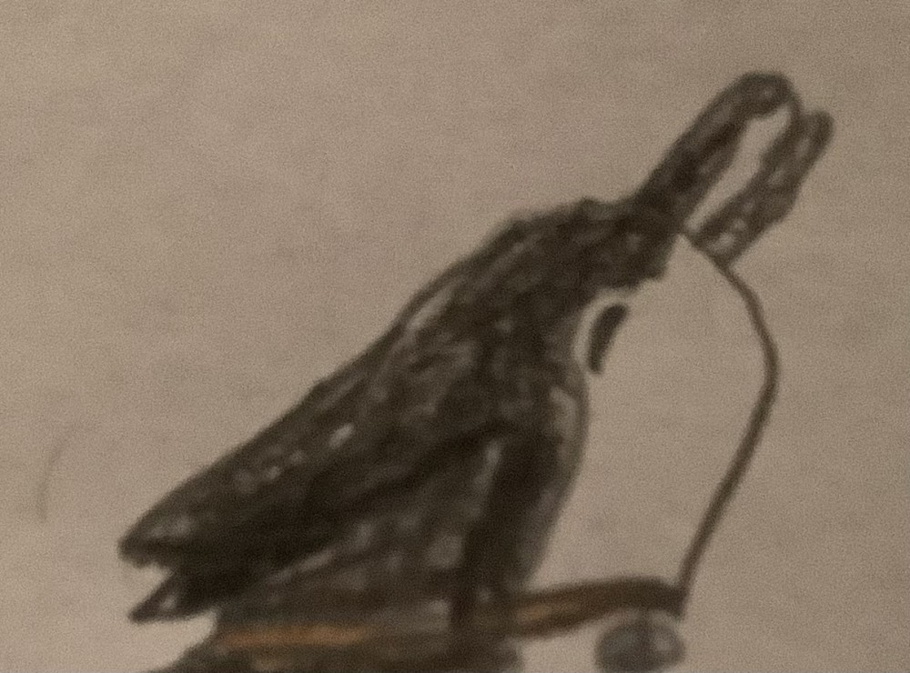 Suggen