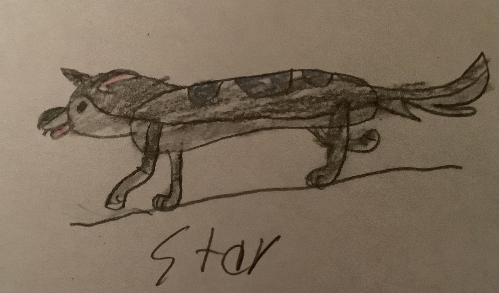 Cute Star