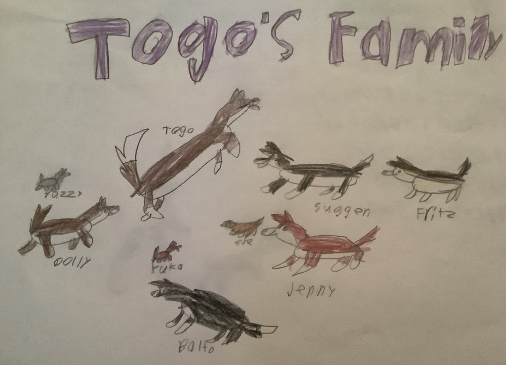 Togo’s family 