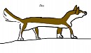 Aleu