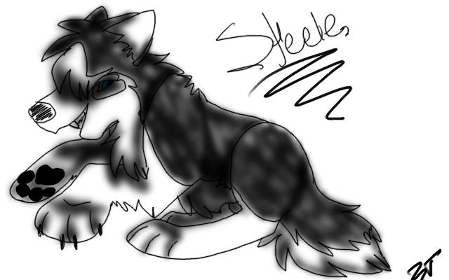 Steele Slop