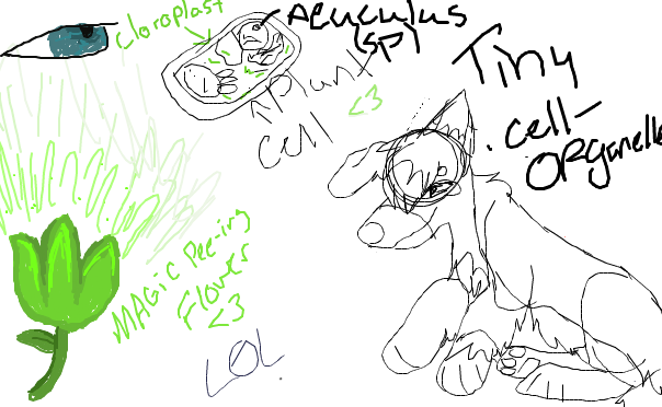 iScribble more LOL
