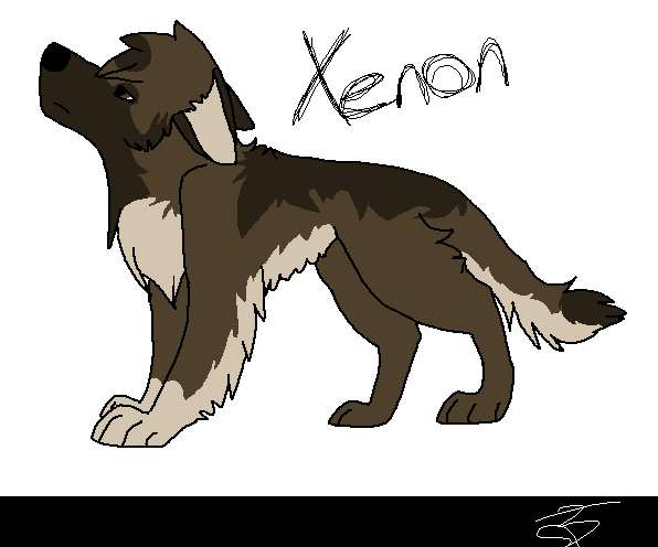 Xenon