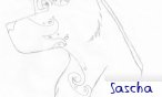 Sascha
