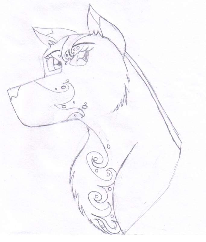 Topez Rough Draft