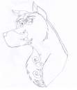 Topez Rough Draft