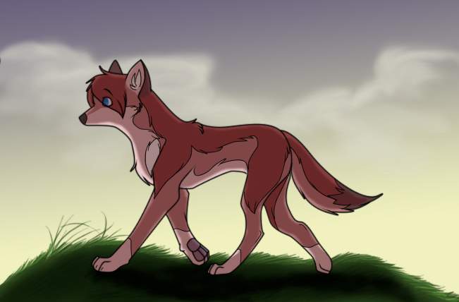 Elean Ethiopian wolf form