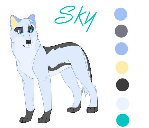 Character sheet for Sky