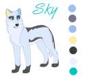 Character sheet for Sky