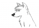 teh randomness