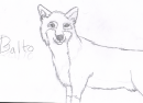 Balto
