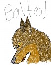Balto!