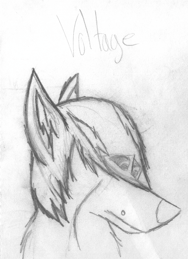 Voltage