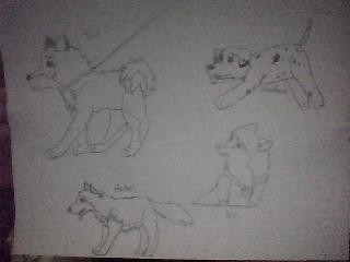 OLD doodles