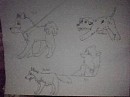 OLD doodles