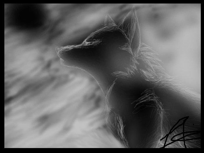 Aniu version black