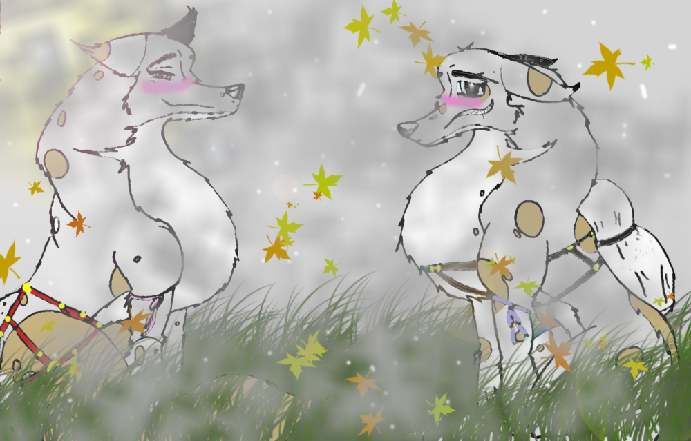 Yak and Frost