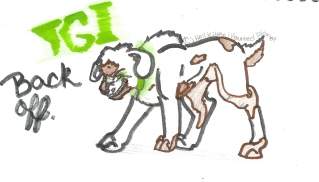 TGI