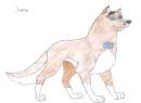 Saphire - my new fursona