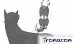 tromacom