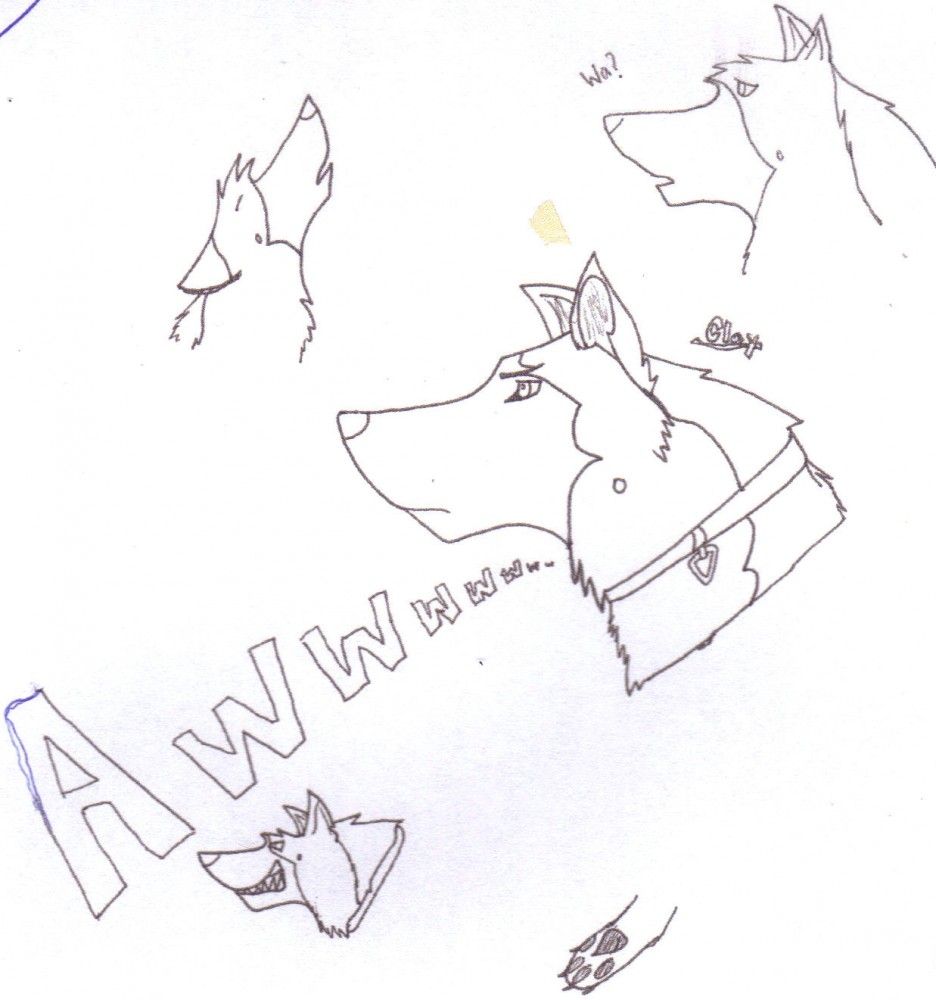 My G.S.D doodle dump..with Clay!